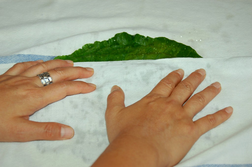Use a dry kitchen towel to dry it completely.