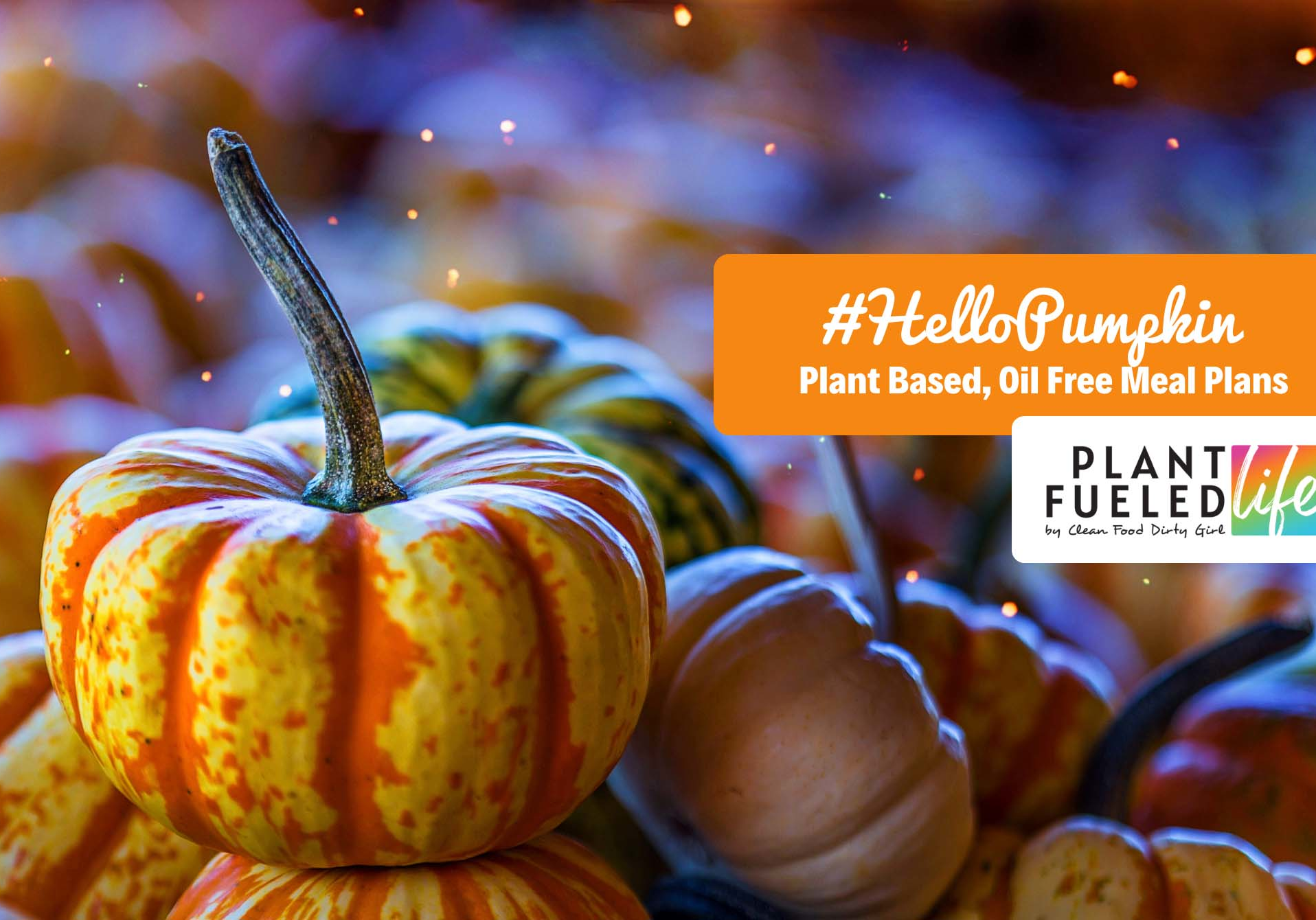 HelloPumpkin Fall Plant Based Meal Plan