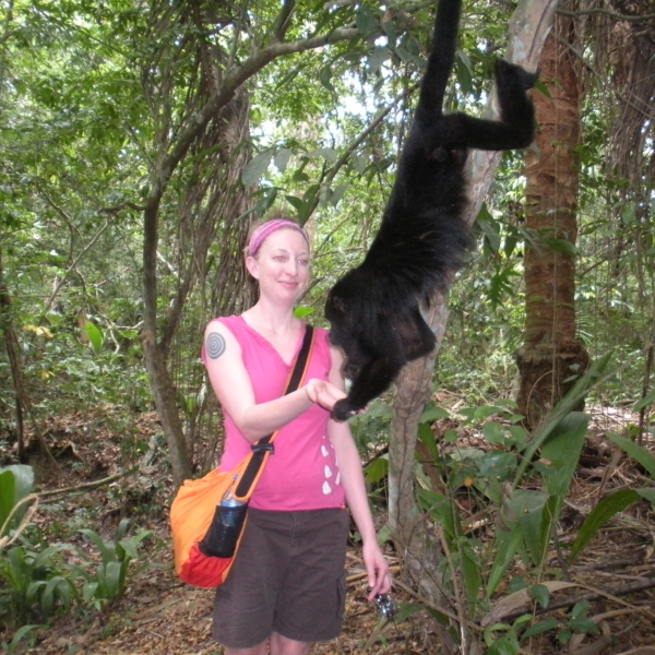 Howler Monkey, Belize